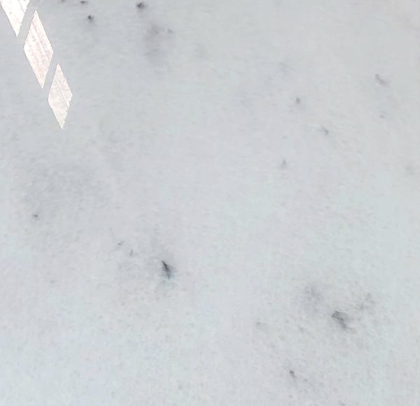 40 80 Vein Dot 3 bề mặt